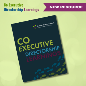 Co-Executive Directorship Learnings Thumbnail