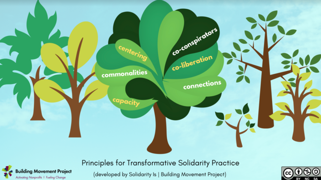 Principles of Transformative Solidarity Practice