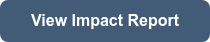 View Impact Report 